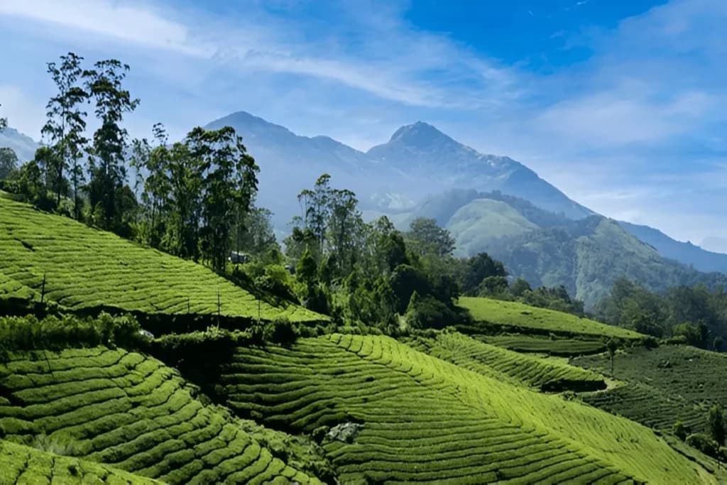 Best Time to Visit Kerala