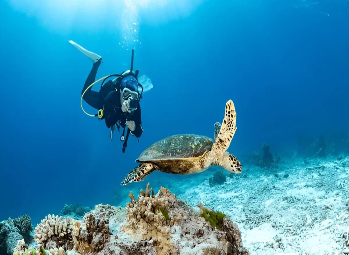 Scuba Diving in Maldives