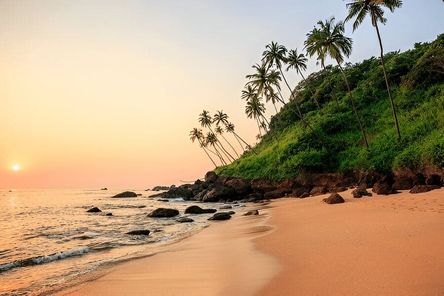 Travel Tips for Visiting Goa