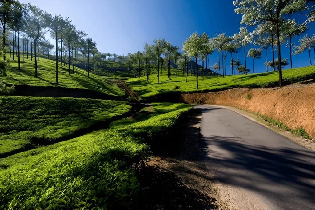 Vagamon