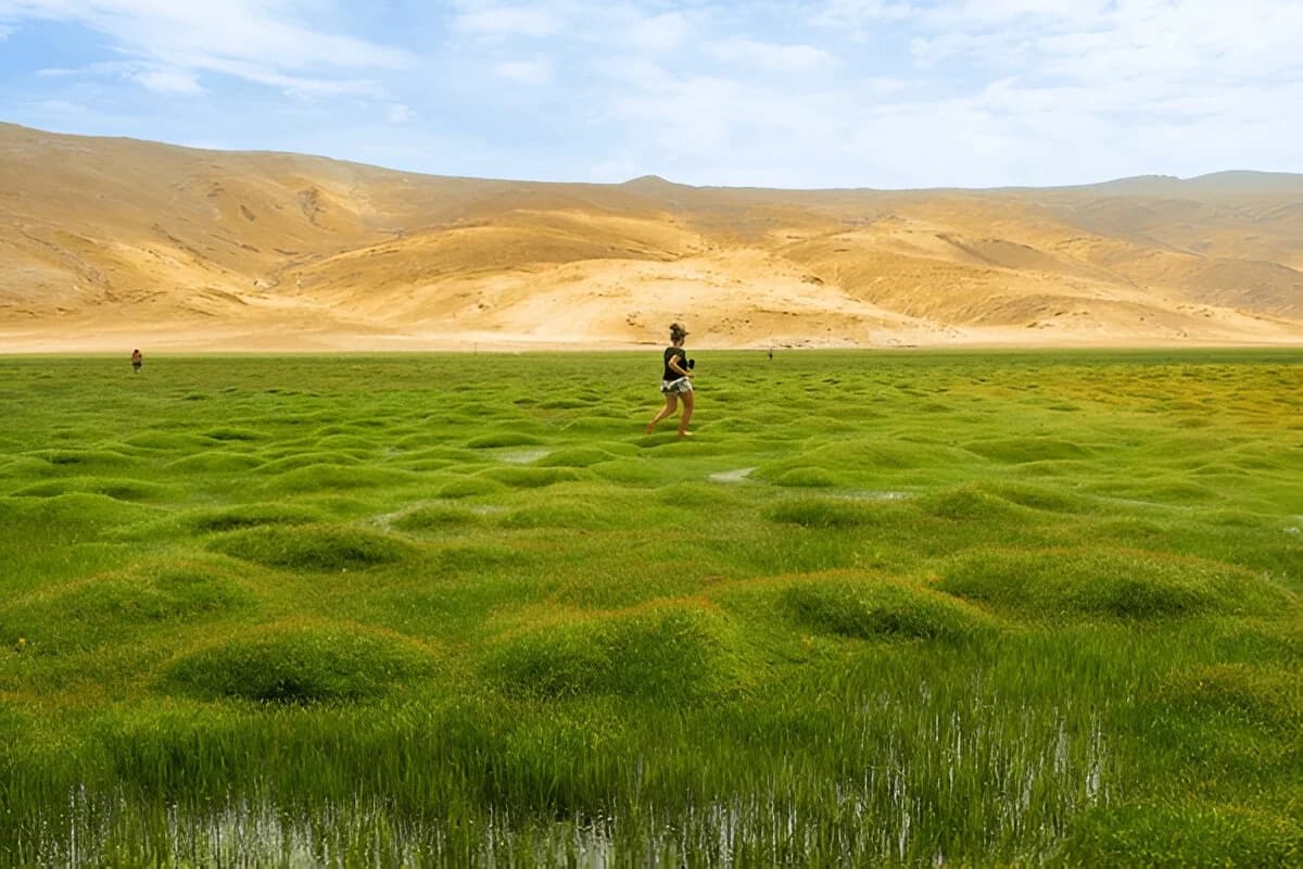 Puga Valley, Ladakh