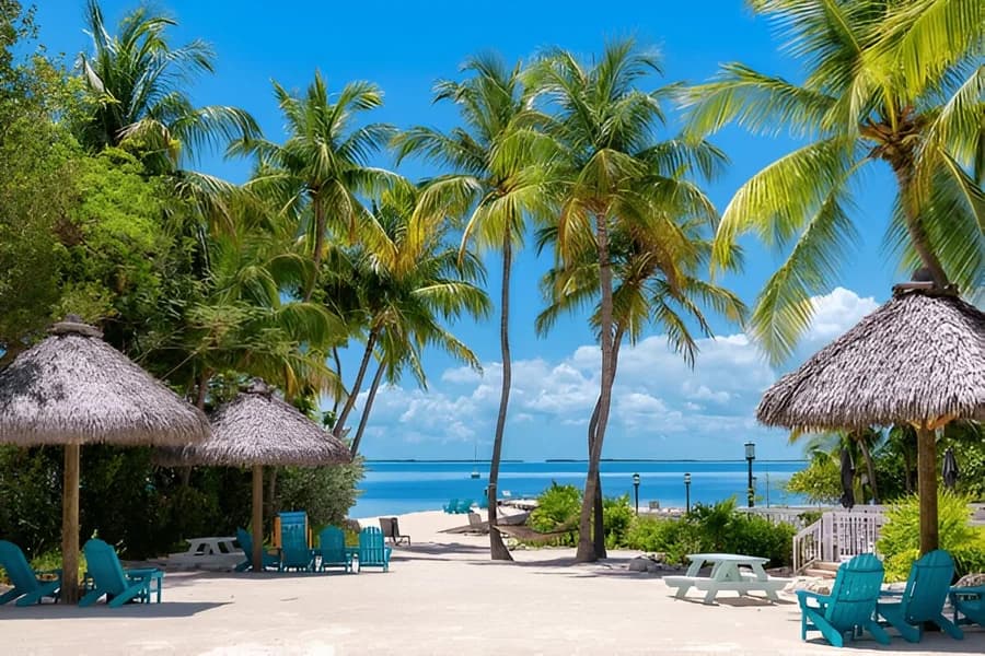 Best Time To Go To Goa