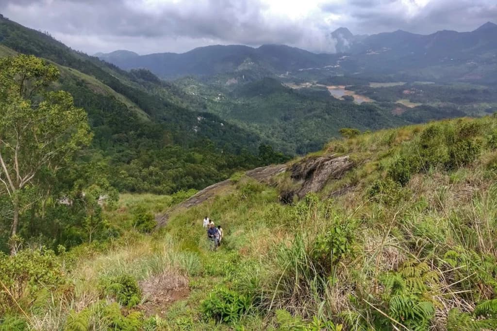 Mathikettan Shola National Park