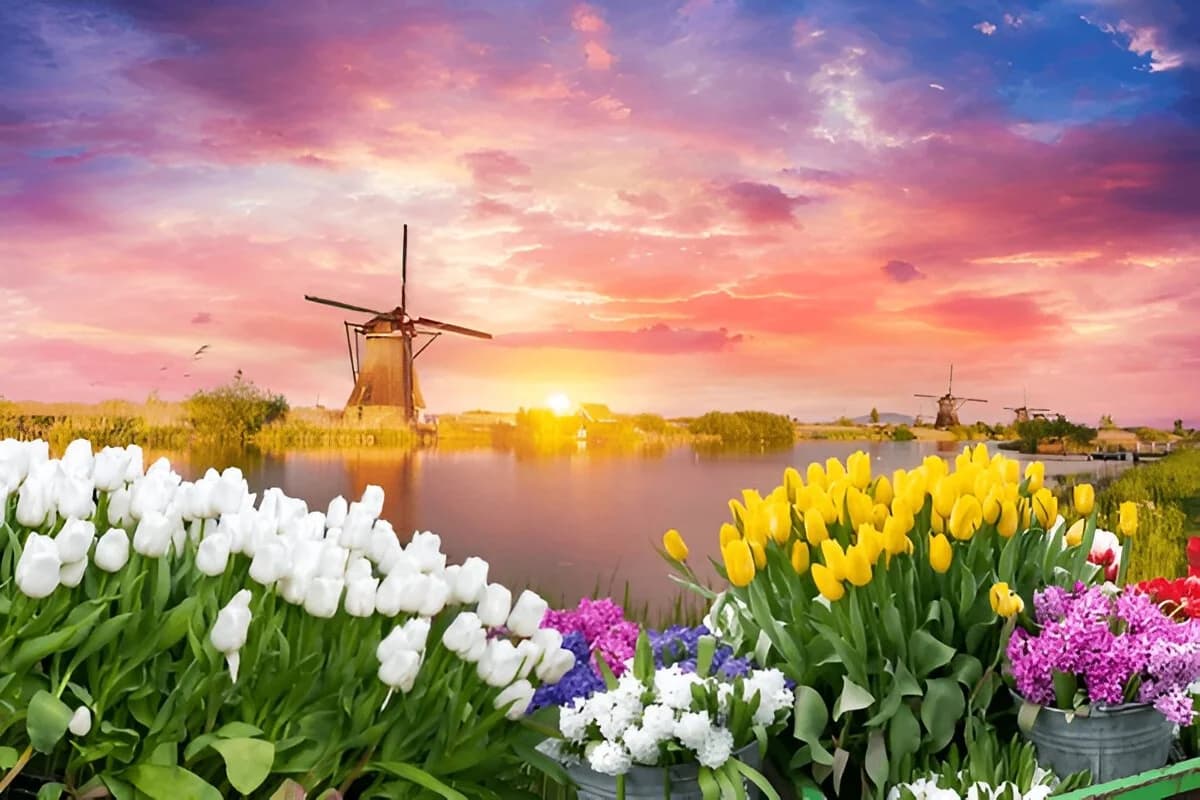 Keukenhof