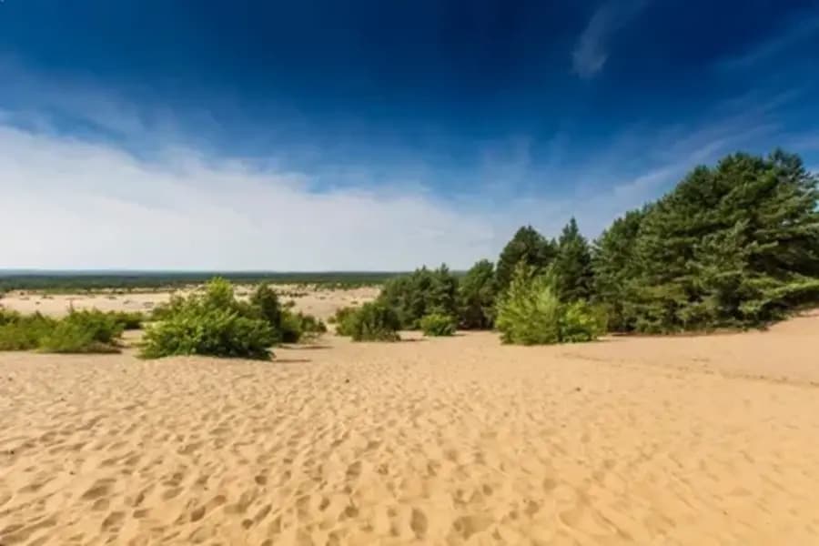 Błędów Desert – Poland: