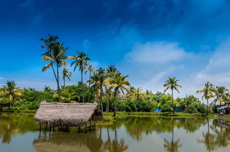 Kerala in June